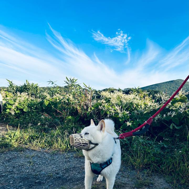 Ac055e62 bd25 427a 948c 25a5056a9aba 1725920500464