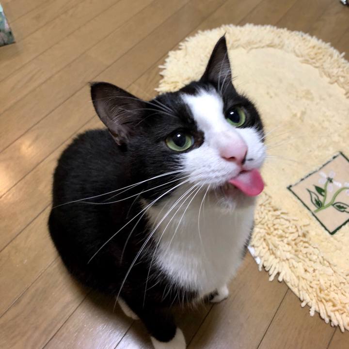 Ac056baf 441a 4930 81ab 09df988fb869 1537860466550