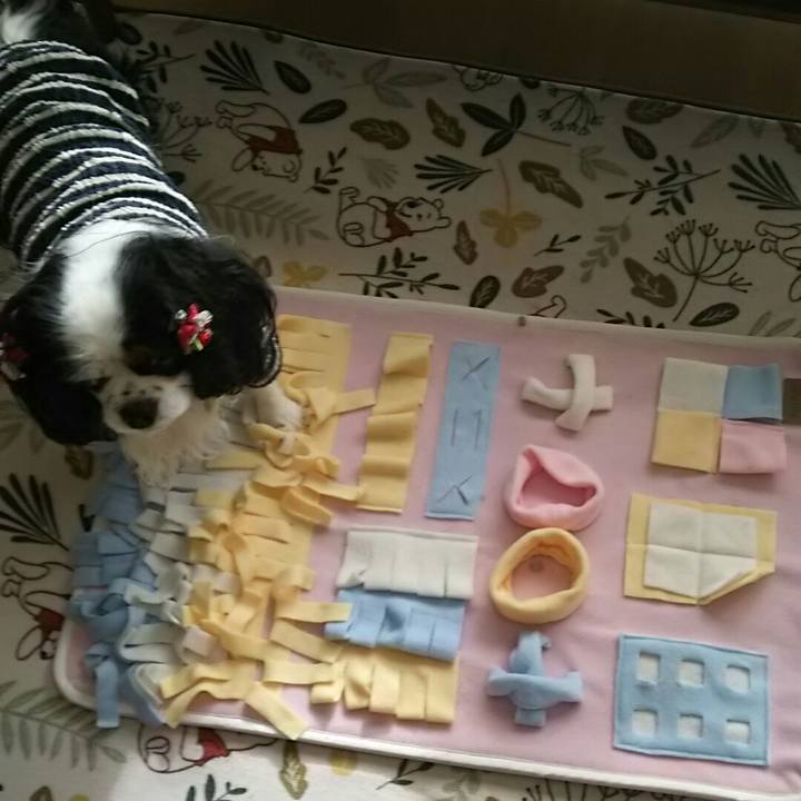 Ac0583d9 4487 4a3a bb31 4395e3c2ac11 1541479924079