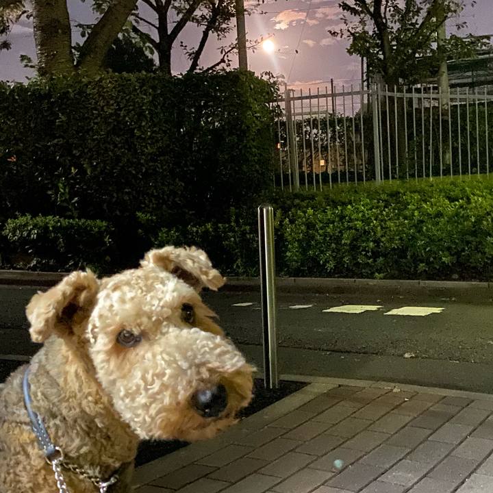 Ac05c32c adb5 4203 a528 23bb88bf1de0 1632219882792