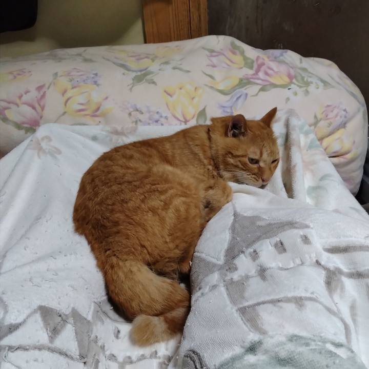 Ac05f886 baf5 4244 b7f5 958593c5b244 1694174388806