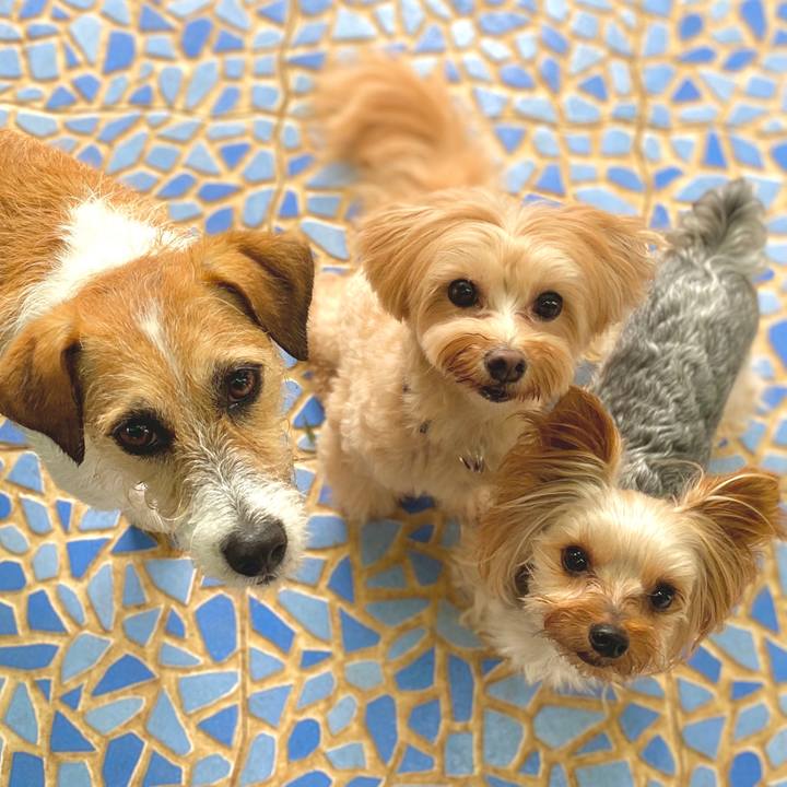 Ac05f8e0 9353 42bf bc33 2323c5e9fcdf 1600086912807