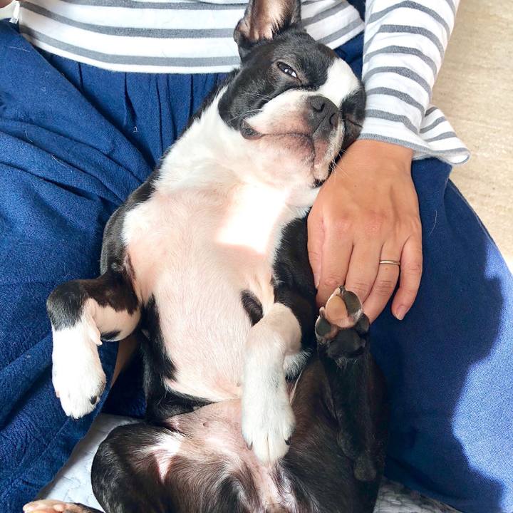 Ac062fa8 ece7 4b7e 9b79 0f3e43bac8da 1529207027816