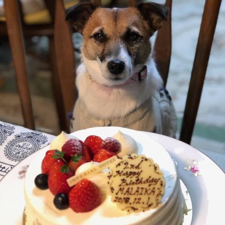 Ac0637ba ab18 4d8e 9374 5b3dc74d56a8 1543663364338