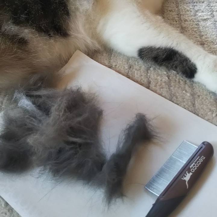 Ac06ab7c 0841 44cb bd9f 7229ccbcf923 1623893047471