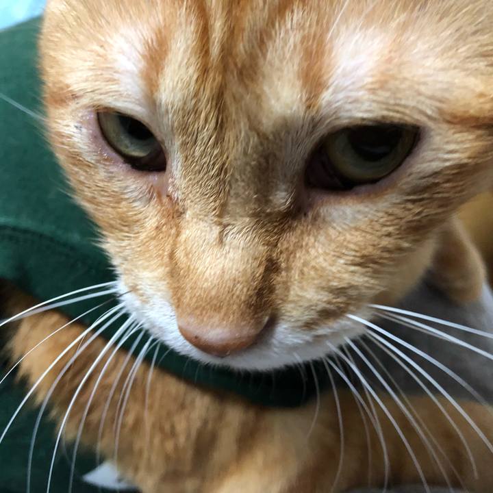 Ac06bb53 1cc1 41f8 a362 c782ba60c92e 1631616301828