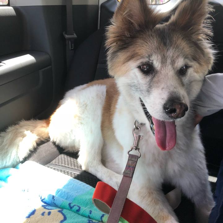 Ac06f52a 270f 4a7e b9db ecdfa1399468 1534574676602