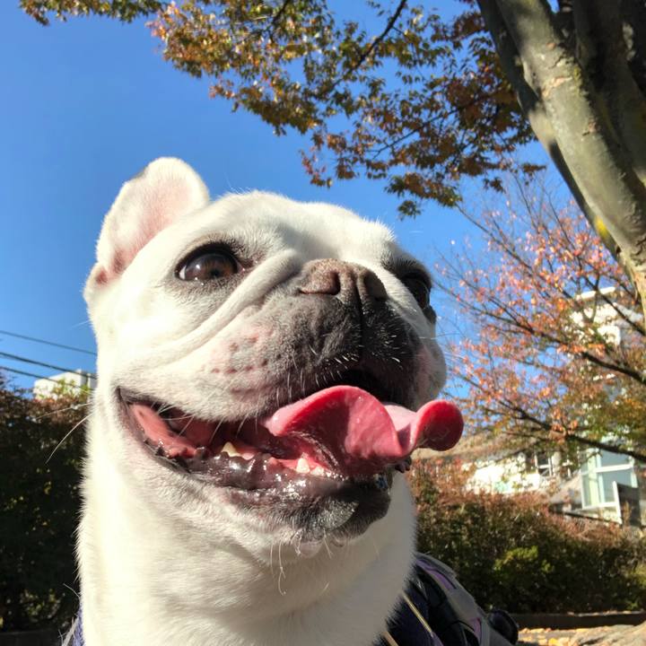 Ac072d71 ad37 4d54 9379 4a522e449424 1605357126369