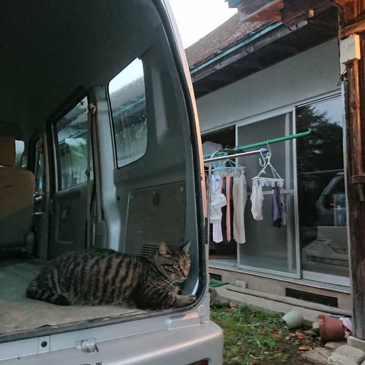 Ac073951 a6e5 44b9 98a7 51b07f32ee16 1661506713377