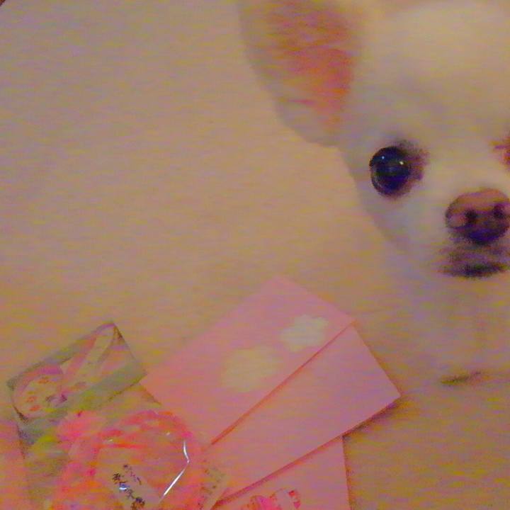 Ac074421 d4da 4244 9100 e33f4eaa73ea 1553349479483