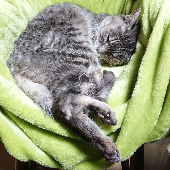 Ac07580c 8c26 436d be54 437520adeb5f 1582535099380