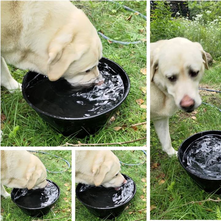 Ac076b78 ebe6 40aa 8d58 c7714cc03cab 1691817605751