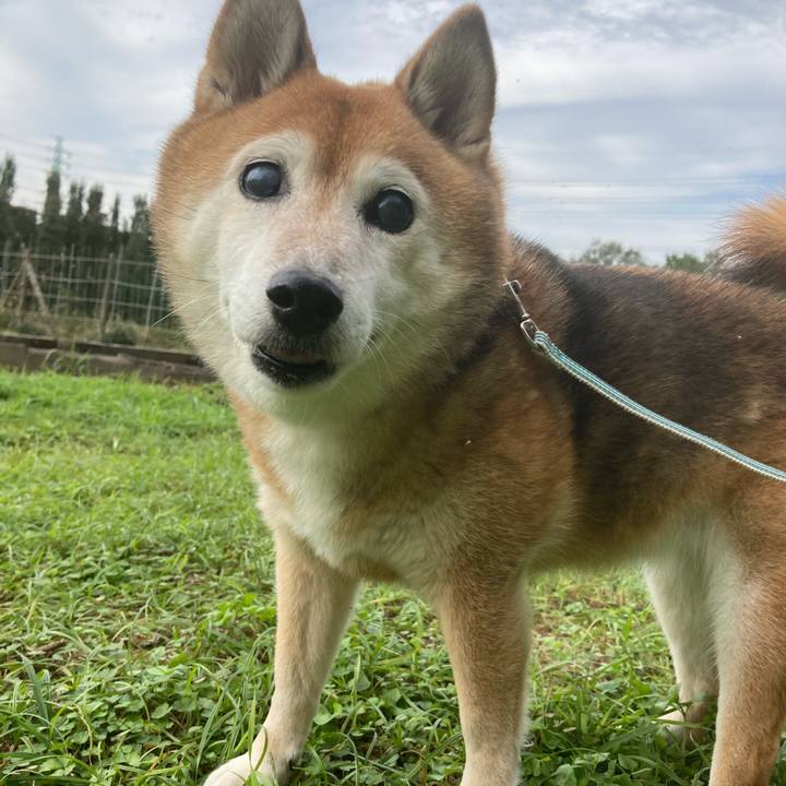 Ac078baa 12e1 410a aff2 37ee6ef0e8cf 1730785304313