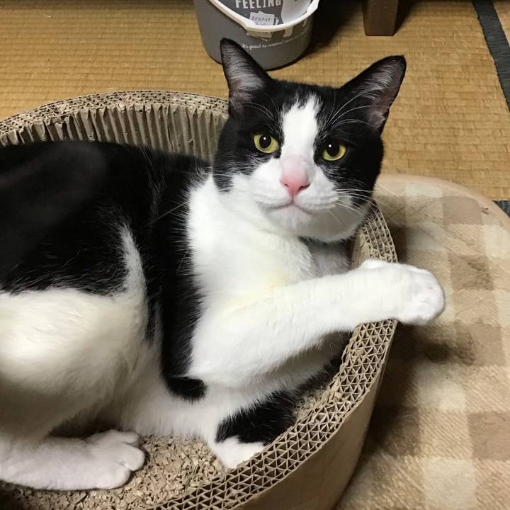 Ac07a06a 47b3 4906 9603 9103c7349bac 1703580656010