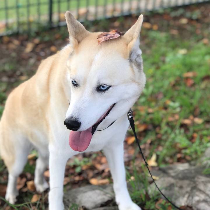 Ac07e94f 06bf 4b3f a9b7 9e695e6622b3 1632276591218