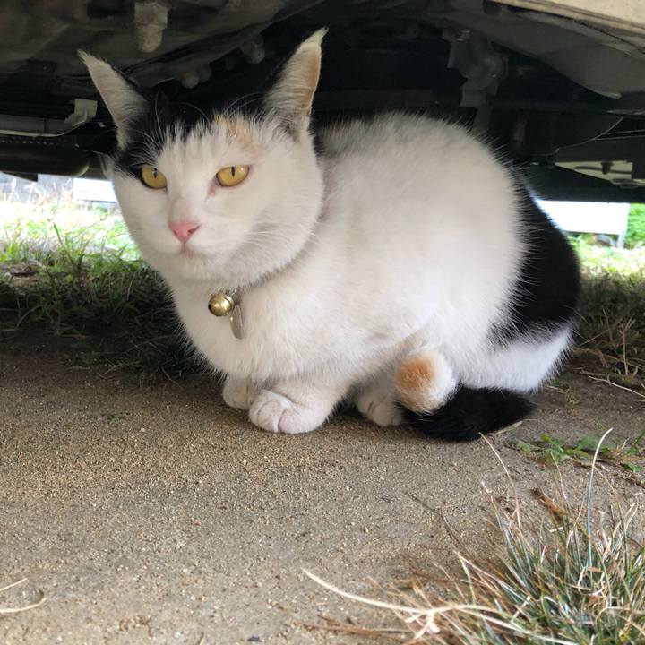 Ac07ef31 6d8e 4634 91e9 6e601917dd6a 1607213076389