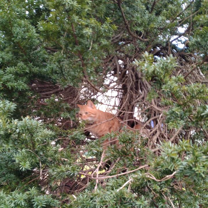 Ac07f164 0fc4 43f3 a169 6cea1021315f 1669851958438