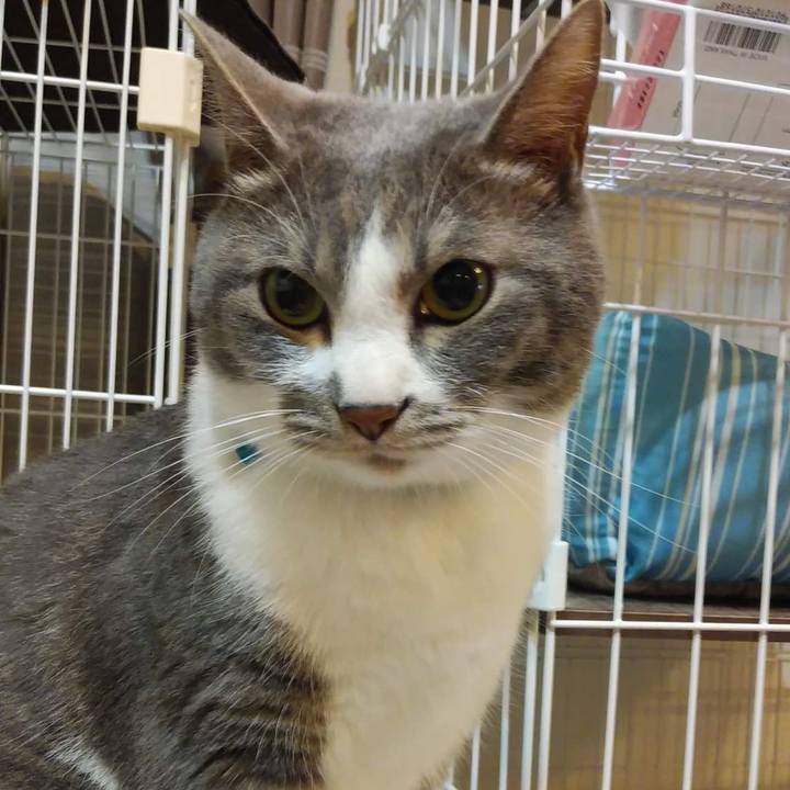 Ac07f482 79b8 4780 a881 b1cbe09c1c0c 1654516739863