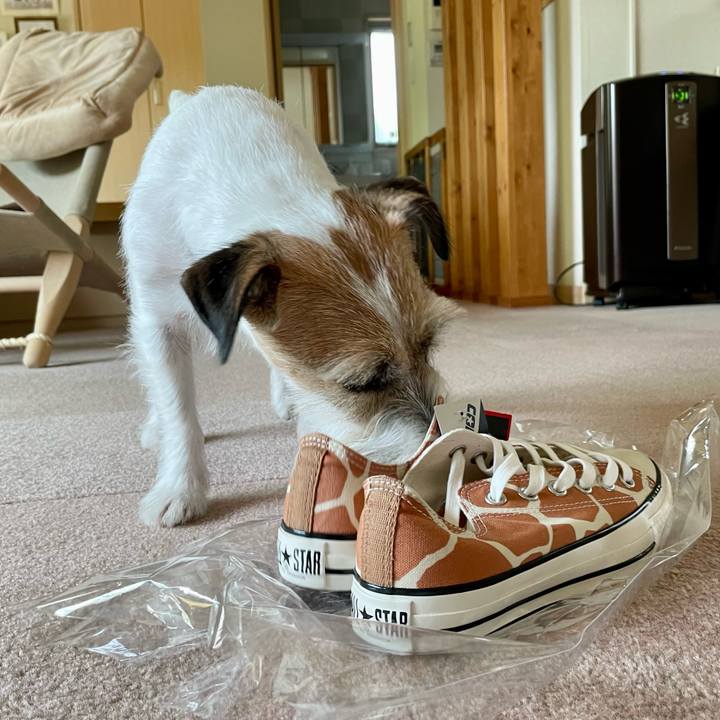 Ac081271 2179 4b1f 8a5c e016545a1bcb 1655607776159