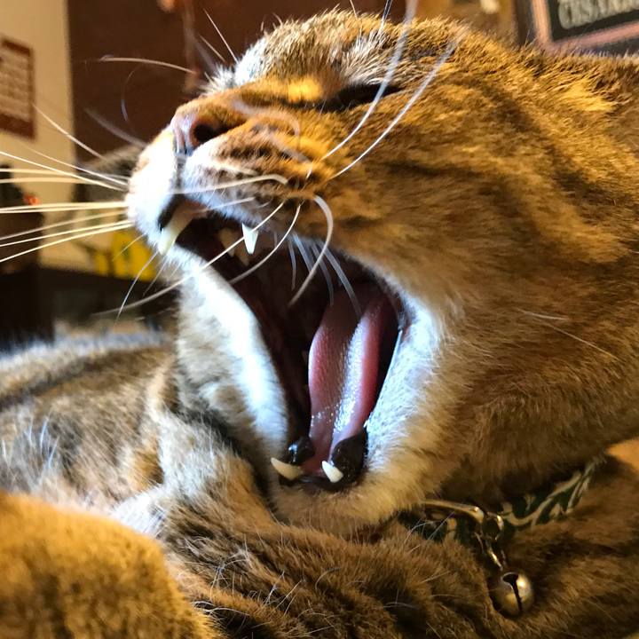 Ac0818e9 cbba 4684 9249 87654228eb46 1566039458871