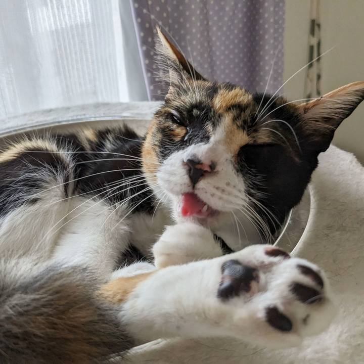 Ac082d39 f66a 4f75 aa95 f617ac406f8a 1689493334639