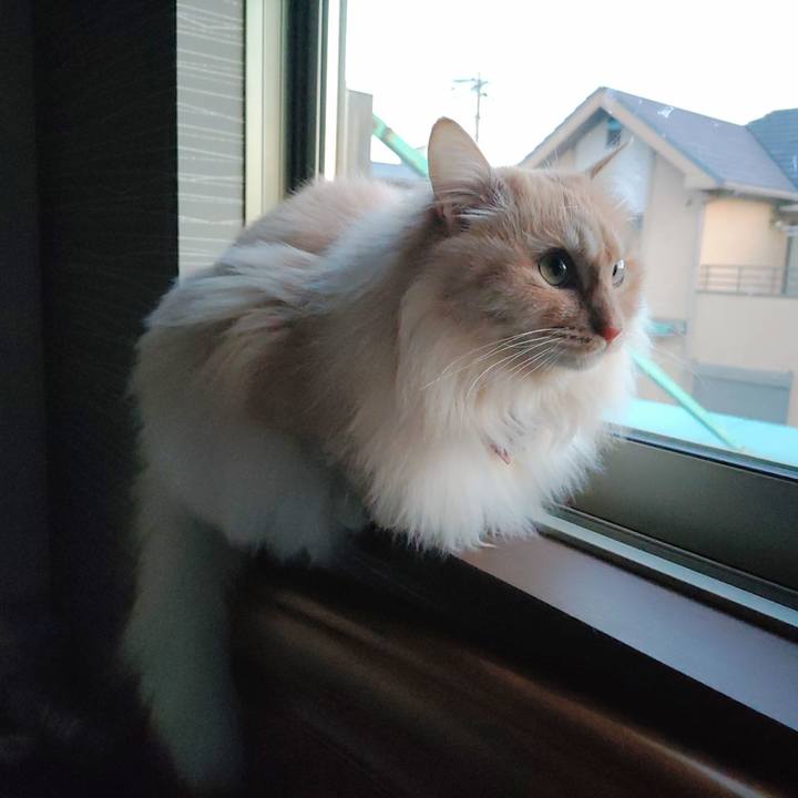 Ac085591 47c6 4859 8eff c31a4cc07070 1710366959563