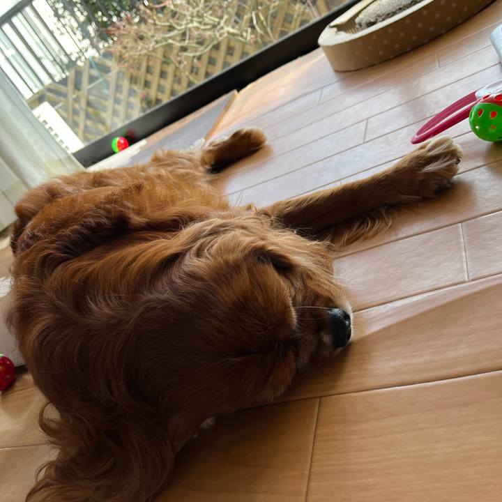 Ac085ebc 18f1 4b8c ba0e 556dce944db2 1676096450007