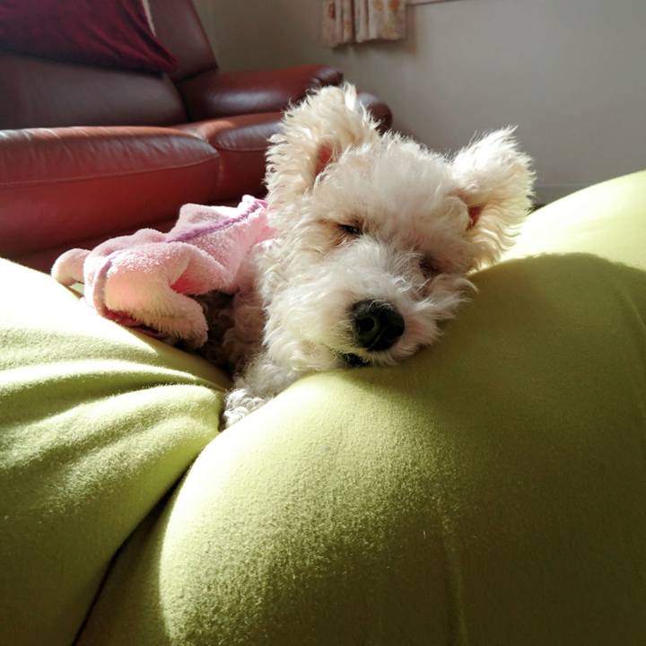 Ac086694 ea01 4b98 b42e 7173c6e109e4 1516074259660