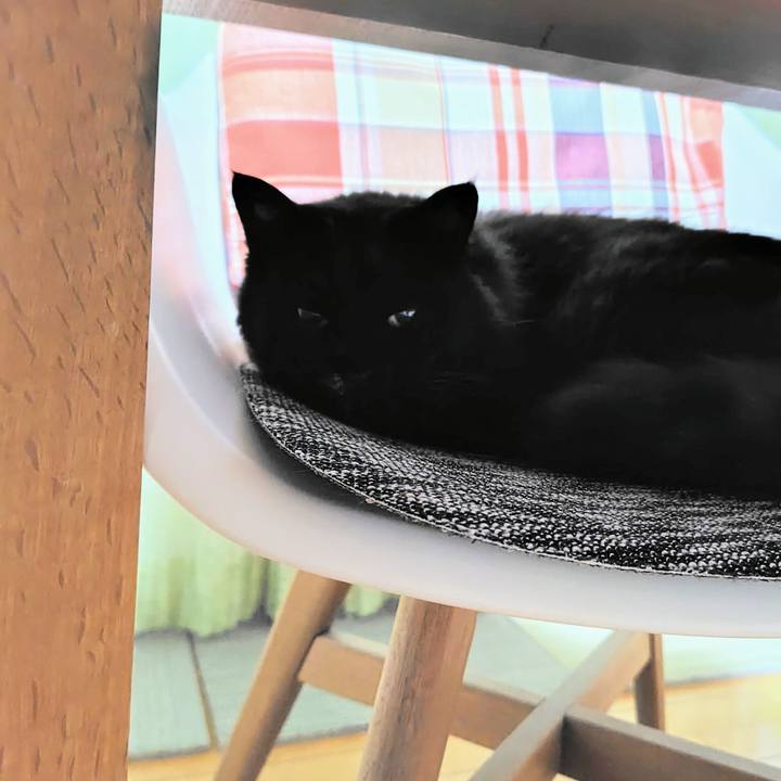 Ac08b0e3 0260 4708 9f1d 9a1767a55cdc 1742733483753