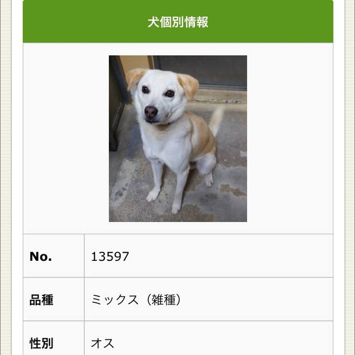 Ac08e1ff da17 40d3 aaea c20e5141067b 1623204324498