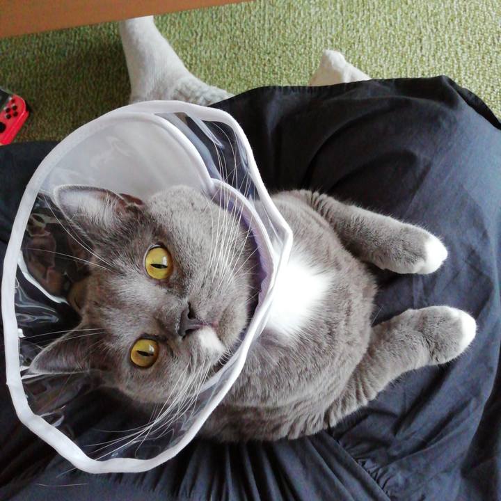 Ac08e2e5 8fc0 443f 8135 06c4f88a0cb6 1630723378321