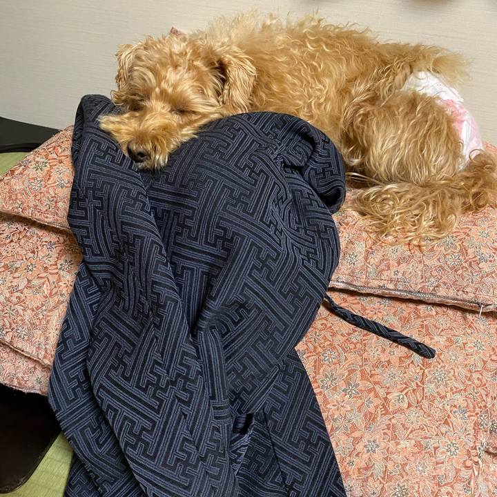 Ac0920c6 2077 4e49 8ce3 1471ca704c70 1635714717884