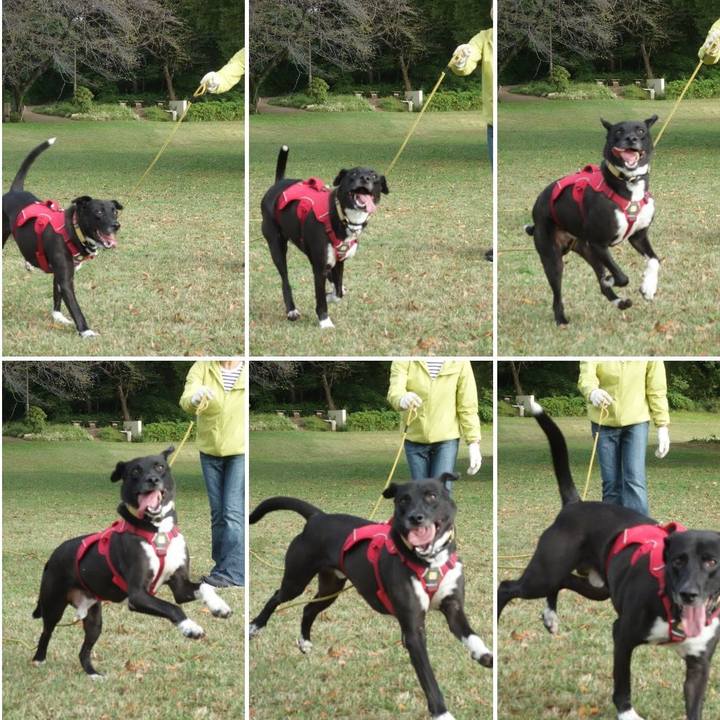 Ac092e7b 88a3 4bc4 9c4b 6176af1a91a5 1603238924122