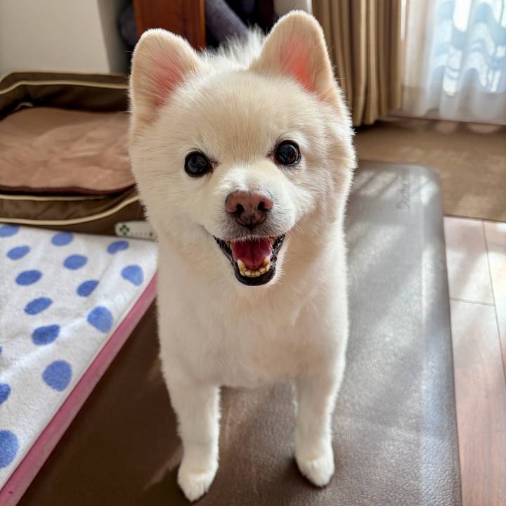 Ac095cde fc73 4d44 8ad8 5e2db19f4873 1763173416029