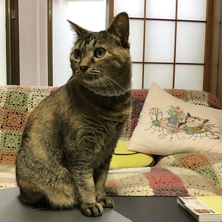 Ac097eba ba28 4143 8fa8 cf9e788d654c 1752222756857