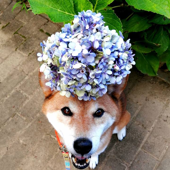 Ac09876a 0517 4f14 b28f 5c8d7b42bf3f 1662883527560