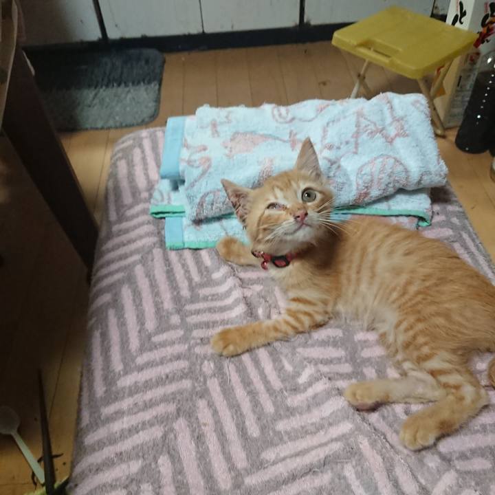 Ac098c03 53cf 49c6 8d87 927dcea4718e 1628157036329