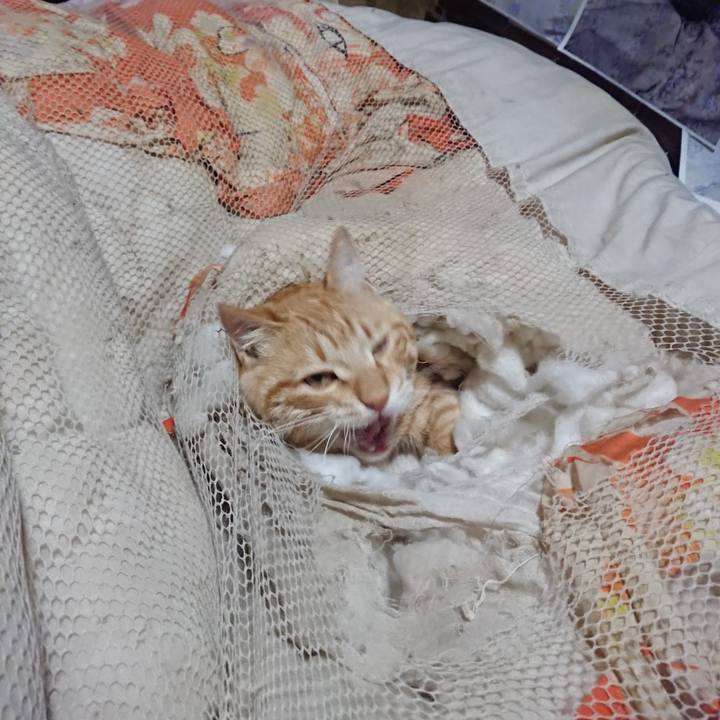 Ac09a54b 7ab4 4af7 9d00 350836bb4937 1647031434401