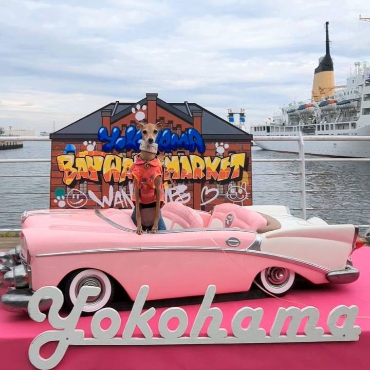 Ac09b5e3 5d31 49be 964f d7b02734e260 1773979684692