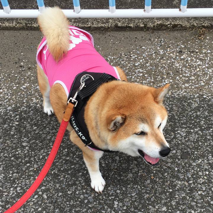 Ac09c4ce 4b88 4834 a6b5 3d51a5131fd6 1619575374701