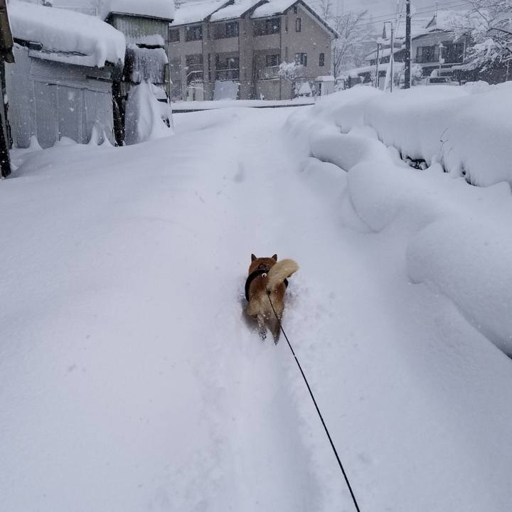 Ac09fc5c 7eb0 4573 bf27 f1f37b96d098 1640495954473