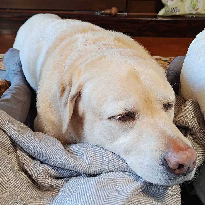 Ac0a226c 5a6a 43bf 8393 239105c57c8b 1738994623958