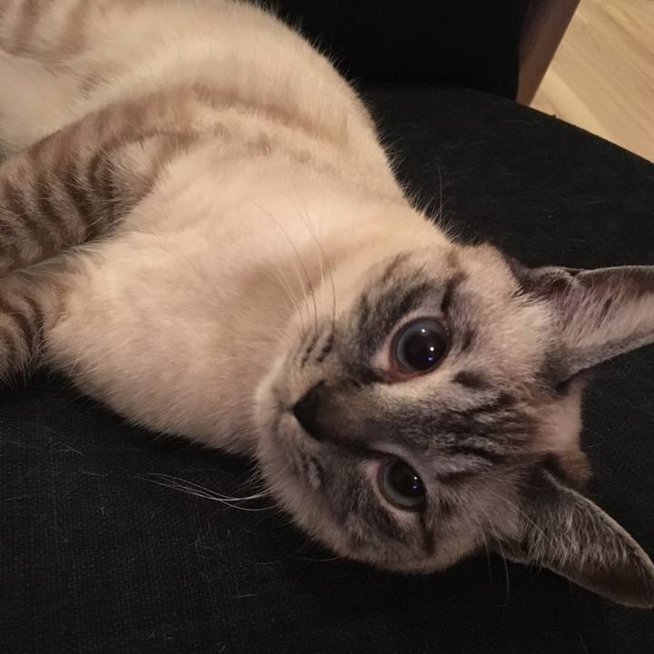 Ac0a3cdd ed31 40aa 8c71 2c6f018cde8d 1559130098923