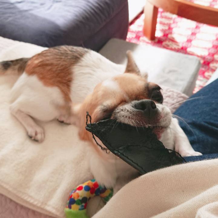 Ac0a570c 9e4a 434c a459 f7fed14e3ff6 1569657753820