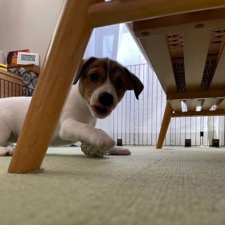 Ac0a5984 7fad 4410 966b a82a40677e81 1665737864784