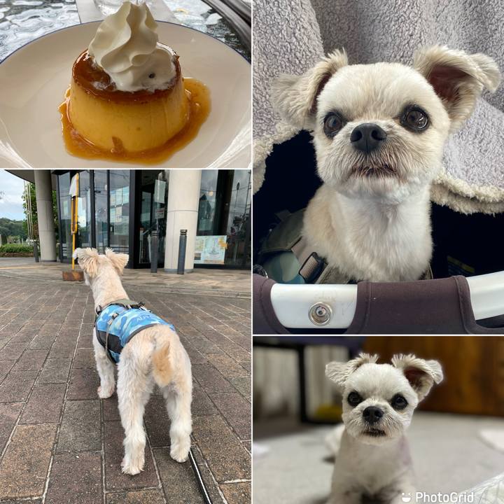 Ac0a619e 540a 4fa1 9bd0 2600ccab15b7 1666270055456