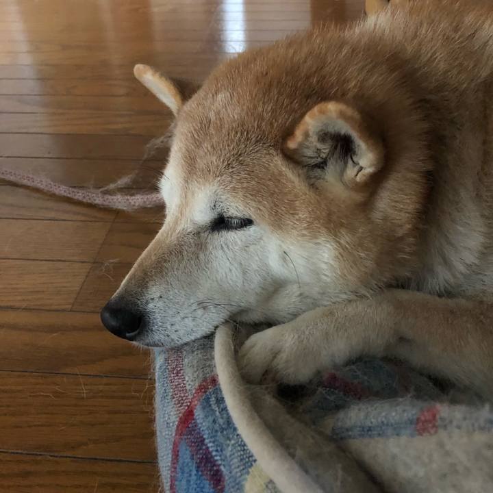 Ac0a7b0f 61ea 4eac 90ec ffb2809f21a4 1539521606282