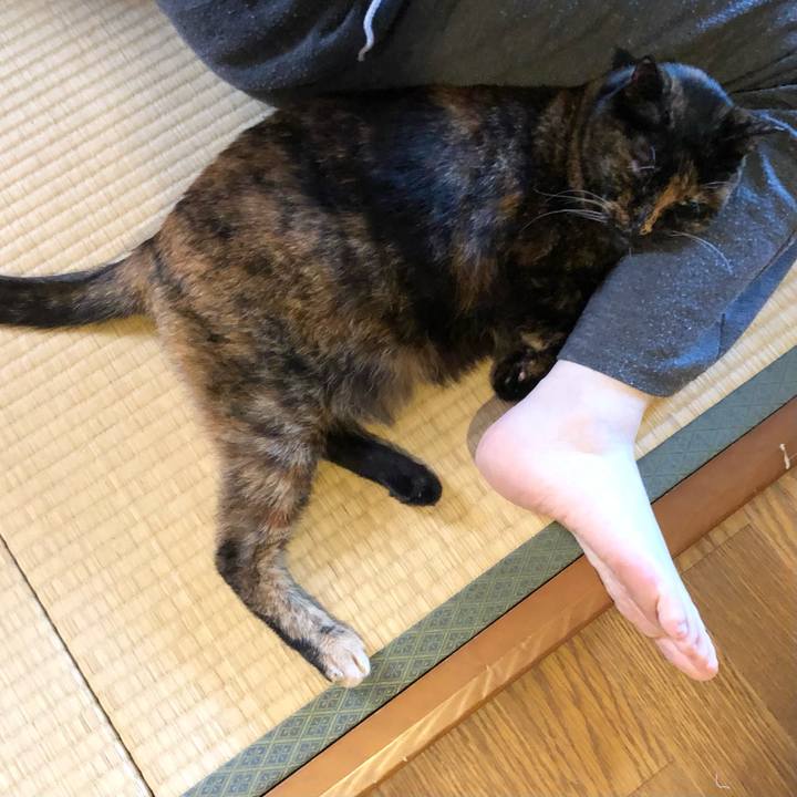 Ac0a7b63 6903 4381 aaa5 6da68f773362 1655255000850