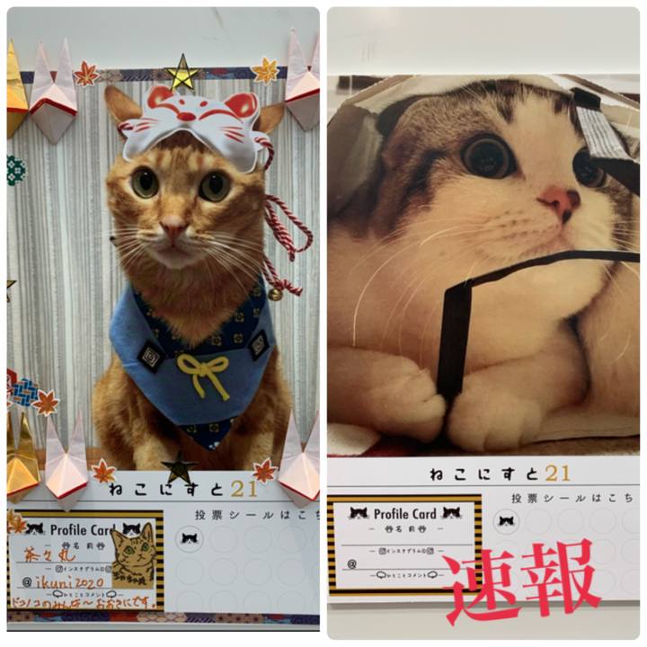 Ac0acc71 78a5 48a3 9e07 5413a195de3b 1599878476770