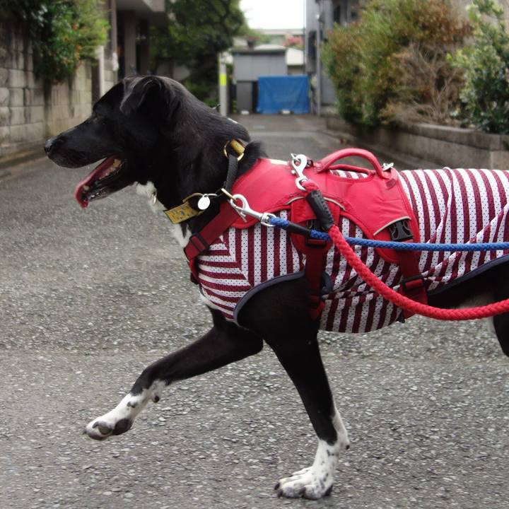 Ac0afc97 3813 427c bf26 a0d93e347b99 1598742945618